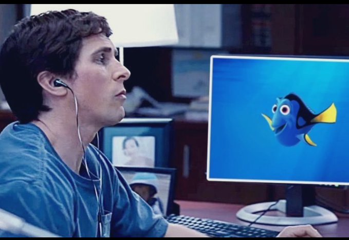 Burry Analyzing Dory